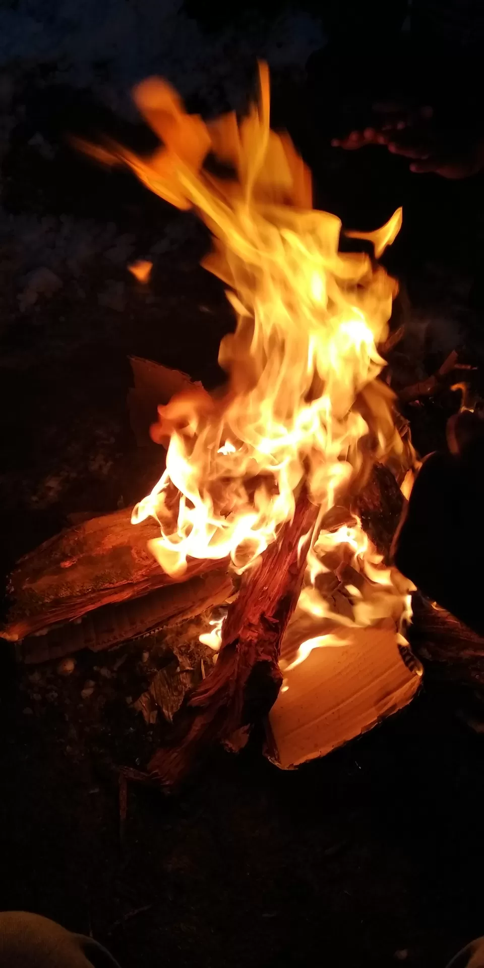 Photo of Kalatop Campsite, Dalhousie Khajjiar Rd, Lakadmandi, Dalhousie, Himachal Pradesh, India by Pratik Shah (Dhannu)
