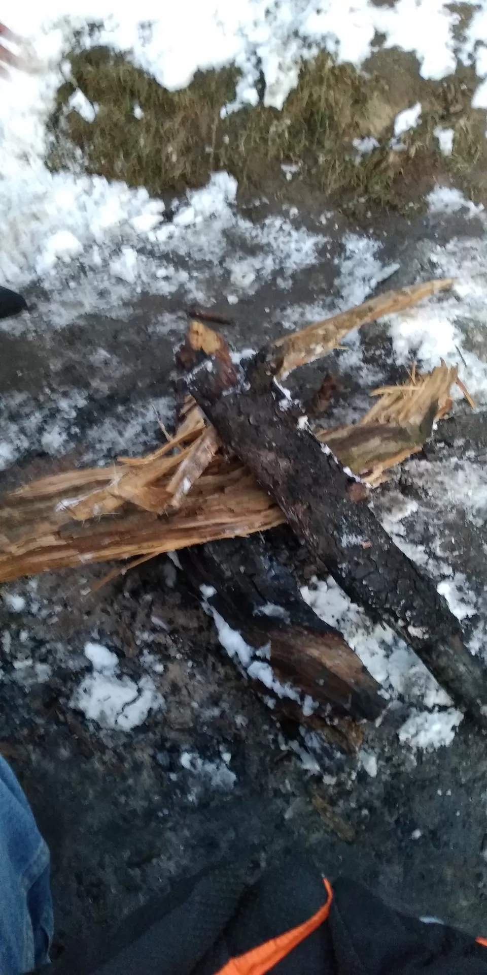 Photo of Kalatop Campsite, Dalhousie Khajjiar Rd, Lakadmandi, Dalhousie, Himachal Pradesh, India by Pratik Shah (Dhannu)