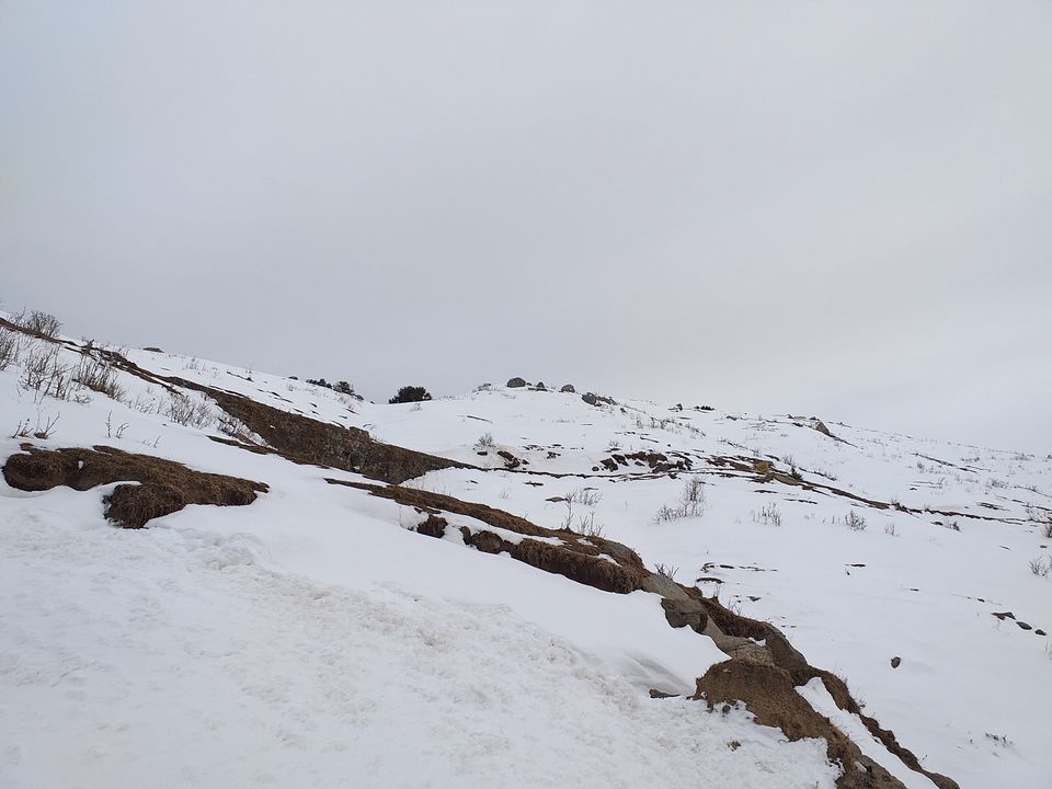 Photo of Dainkund Peak, Rakhed, Himachal Pradesh by Pratik Shah (Dhannu)