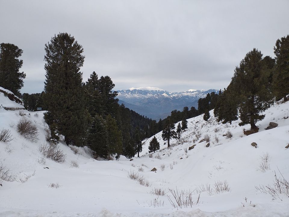 Photo of Dainkund Peak, Rakhed, Himachal Pradesh by Pratik Shah (Dhannu)