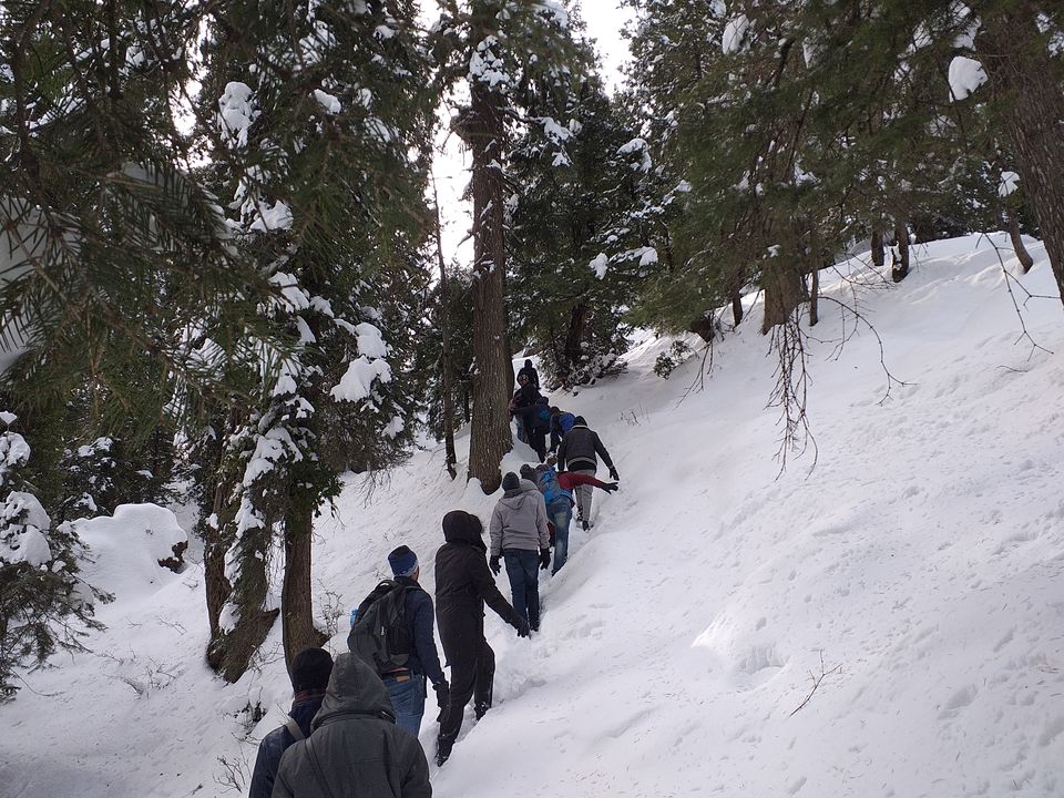 Photo of Dainkund Peak, Rakhed, Himachal Pradesh by Pratik Shah (Dhannu)