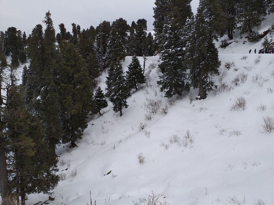 Photo of Dainkund Peak, Rakhed, Himachal Pradesh by Pratik Shah (Dhannu)