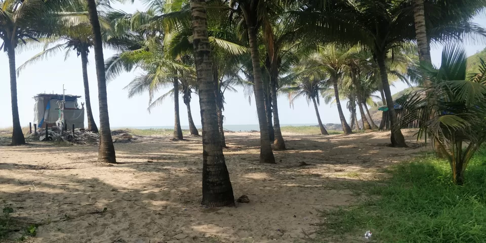 Photo of Offbeat Goa: Maybe I was high while planning this? by blackberryboys