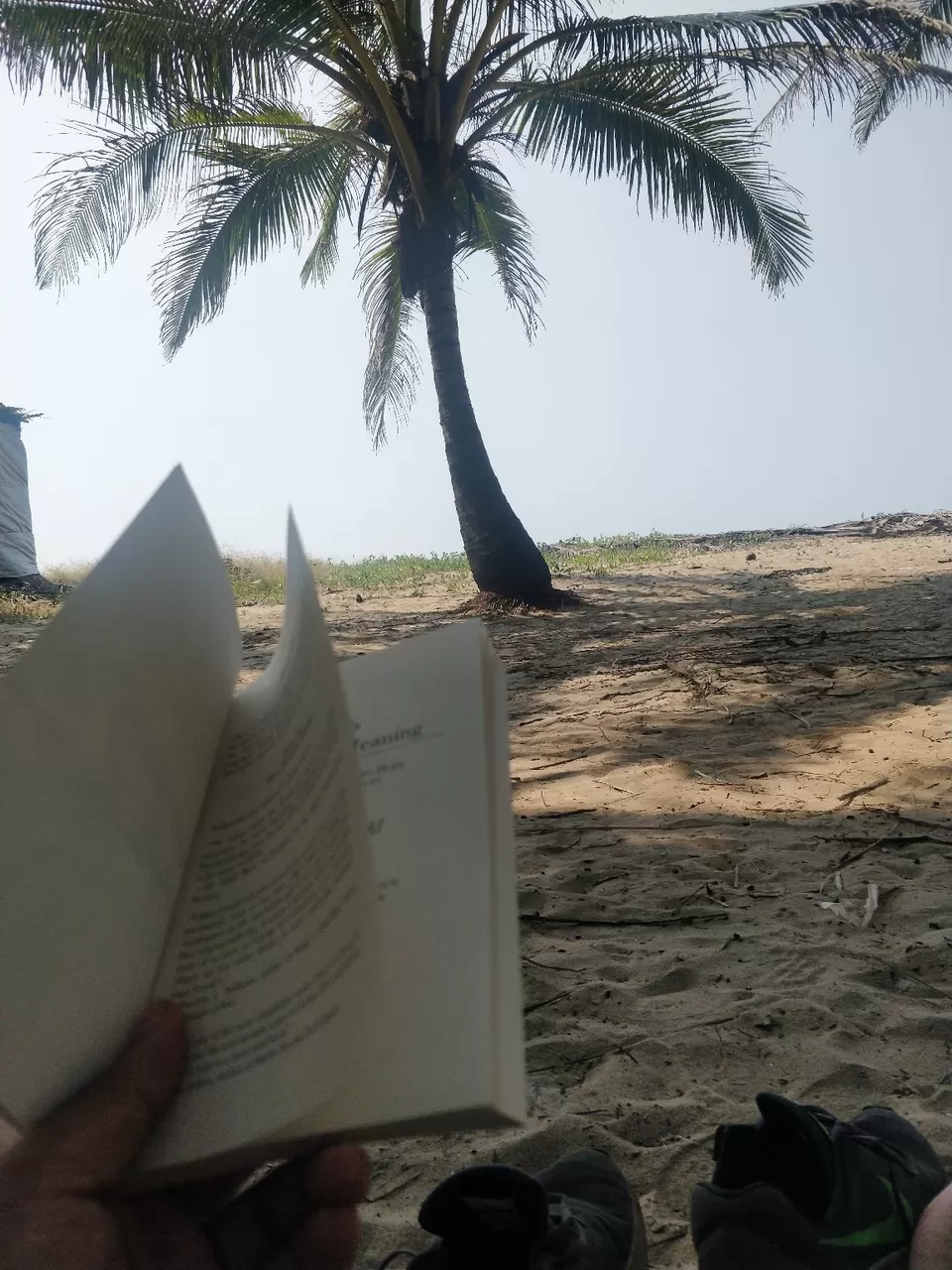Photo of Offbeat Goa: Maybe I was high while planning this? by blackberryboys