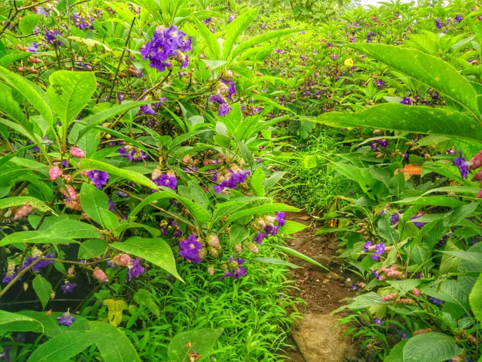 Photo of Mahuli, Maharashtra, India by Altafuddin Sk