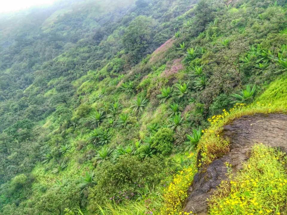Photo of Mahuli, Maharashtra, India by Altafuddin Sk