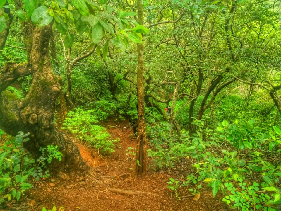 Photo of Mahuli, Maharashtra, India by Altafuddin Sk