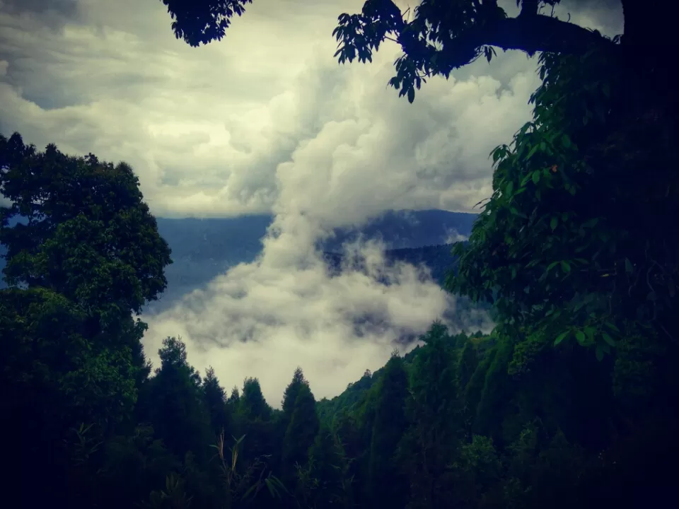 Photo of Tonglu, Singalila Forest, West Bengal, India by Altafuddin Sk