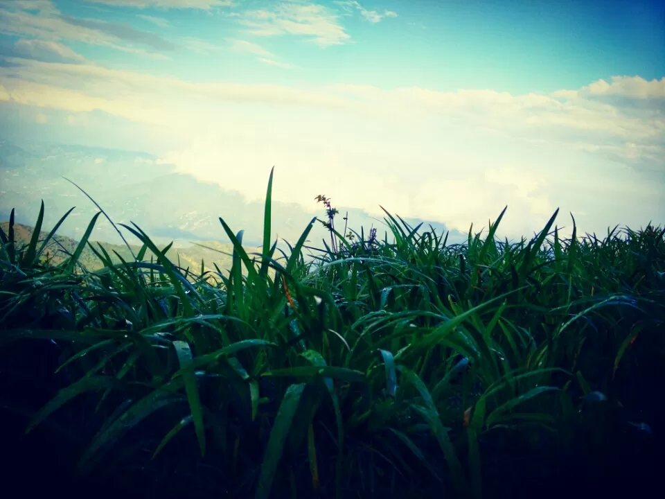 Photo of Tonglu, Singalila Forest, West Bengal, India by Altafuddin Sk