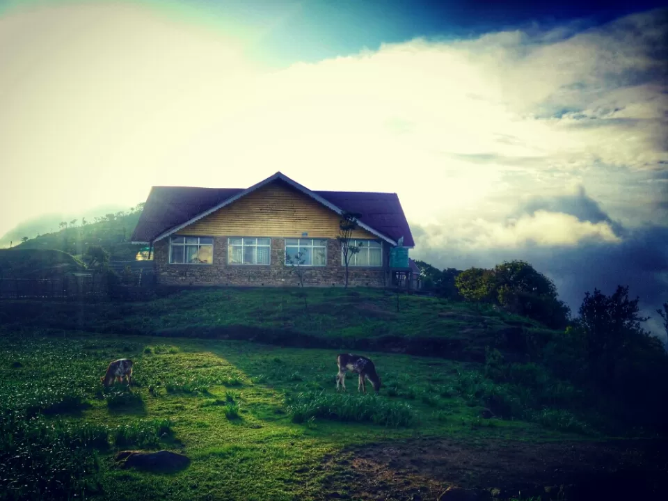 Photo of Tonglu, Singalila Forest, West Bengal, India by Altafuddin Sk