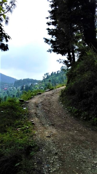 Photo of Chadwick Falls, Shimla, Himachal Pradesh, India by Aditya Pratap Deo