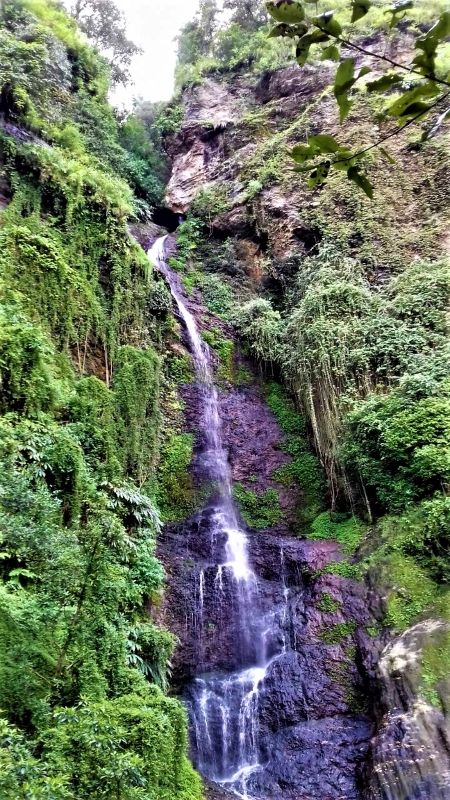 Photo of 5 Scenic and Easy Picnic Trails in and around Shimla by Aditya Pratap Deo