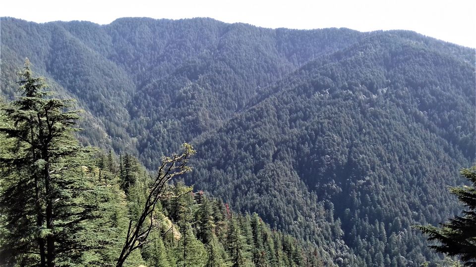 Photo of 5 Scenic and Easy Picnic Trails in and around Shimla by Aditya Pratap Deo