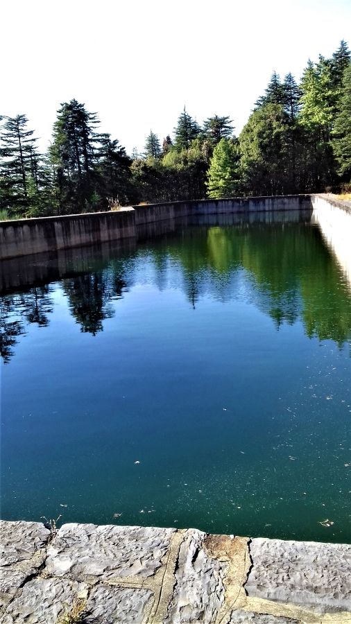 Photo of 5 Scenic and Easy Picnic Trails in and around Shimla by Aditya Pratap Deo