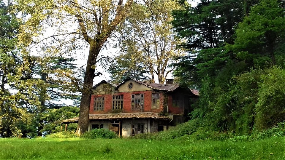 Photo of 5 Scenic and Easy Picnic Trails in and around Shimla by Aditya Pratap Deo