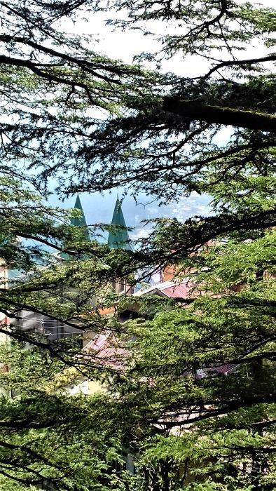 Photo of 5 Scenic and Easy Picnic Trails in and around Shimla by Aditya Pratap Deo