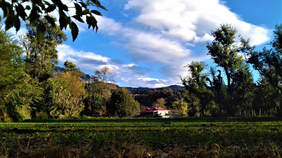 Photo of Jathiya devi, Himachal Pradesh, India by Aditya Pratap Deo