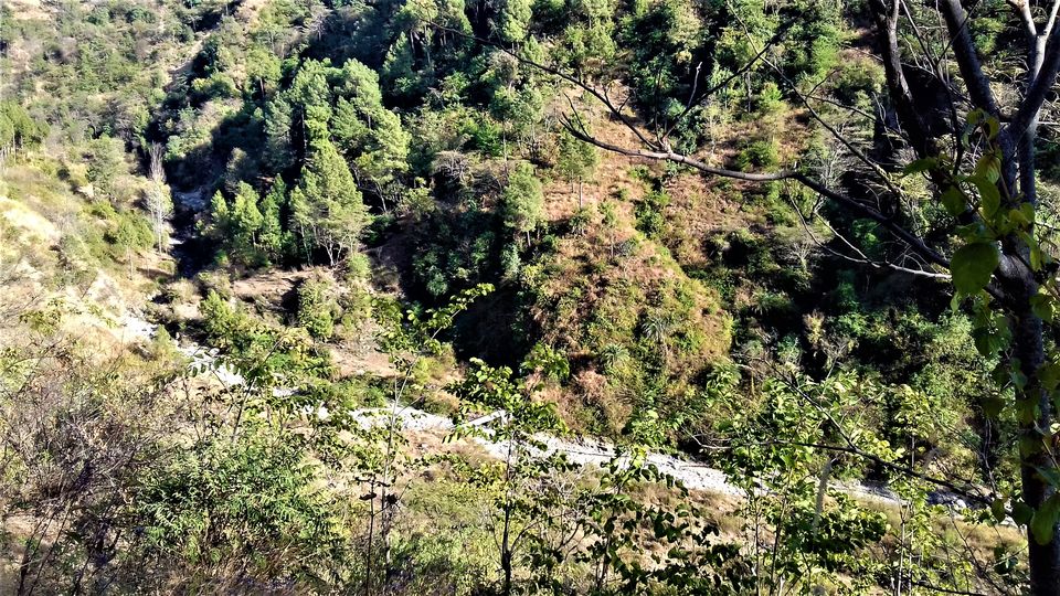 Photo of 5 Scenic and Easy Picnic Trails in and around Shimla by Aditya Pratap Deo