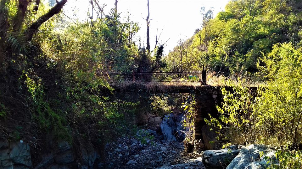 Photo of 5 Scenic and Easy Picnic Trails in and around Shimla by Aditya Pratap Deo