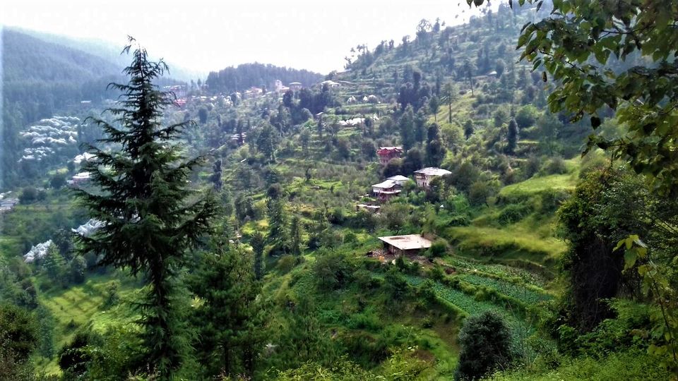 Photo of 5 Scenic and Easy Picnic Trails in and around Shimla by Aditya Pratap Deo