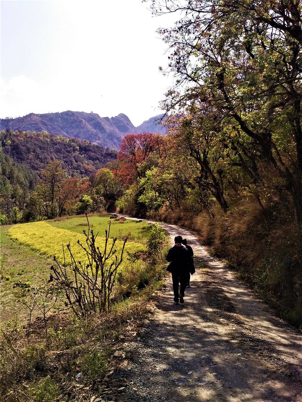 Photo of Nayaser, Himachal Pradesh, India by Aditya Pratap Deo