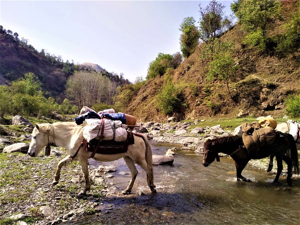 Photo of 5 Scenic and Easy Picnic Trails in and around Shimla by Aditya Pratap Deo