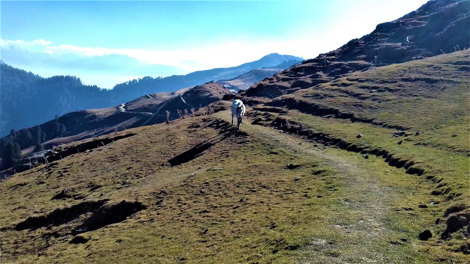 Photo of Prashar Lake, D.P.F. Parashar Dhar, Himachal Pradesh by Aditya Pratap Deo