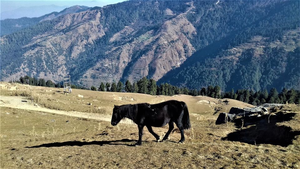 Photo of Prashar Lake, D.P.F. Parashar Dhar, Himachal Pradesh by Aditya Pratap Deo