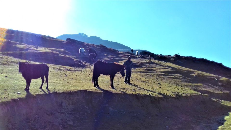 Photo of A Weekend in Central Himachal: Parashar Lake and Mandi by Aditya Pratap Deo