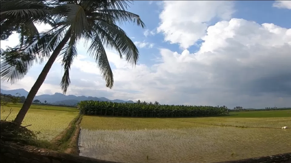 Photo of Why one shoud not miss to explore the town of Tirunelveli,Tamil Nadu by Aravindhan