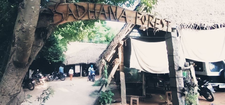 Photo of Self sustainability,reforestation,co living community-Sadhana Forest, Auroville, Pondicherry 1/1 by Aravindhan