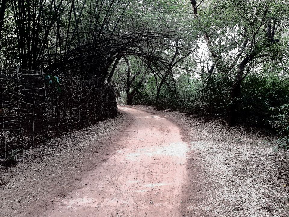 Photo of The magical village of Auroville by Aravindhan