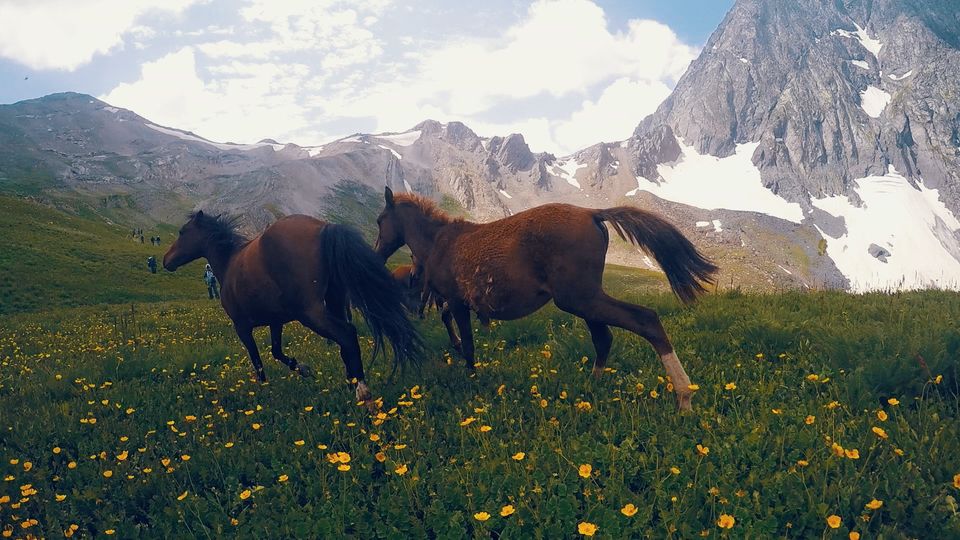 Photo of The Kashmir I see by Kushagr