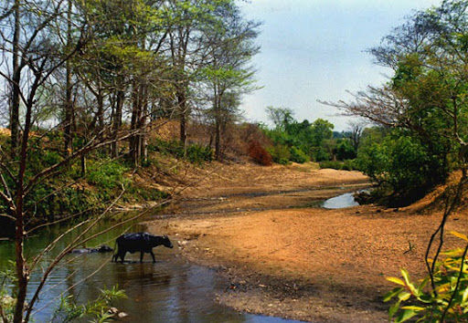 Photo of This Unspoiled Village in West Bengal is The Best Hidden Gem You Can Explore! 3/5 by Kuntala Banerjee