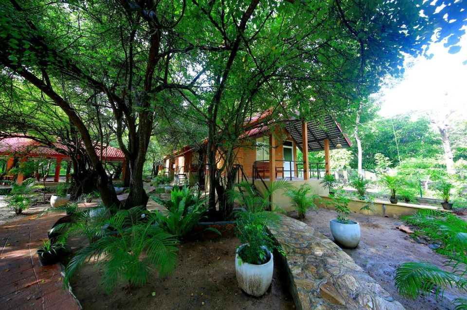 Photo of As Sri Lanka opens up for Indian Travelers, Here is a list of Budget Hotels below INR 3000 6/6 by Kuntala Banerjee