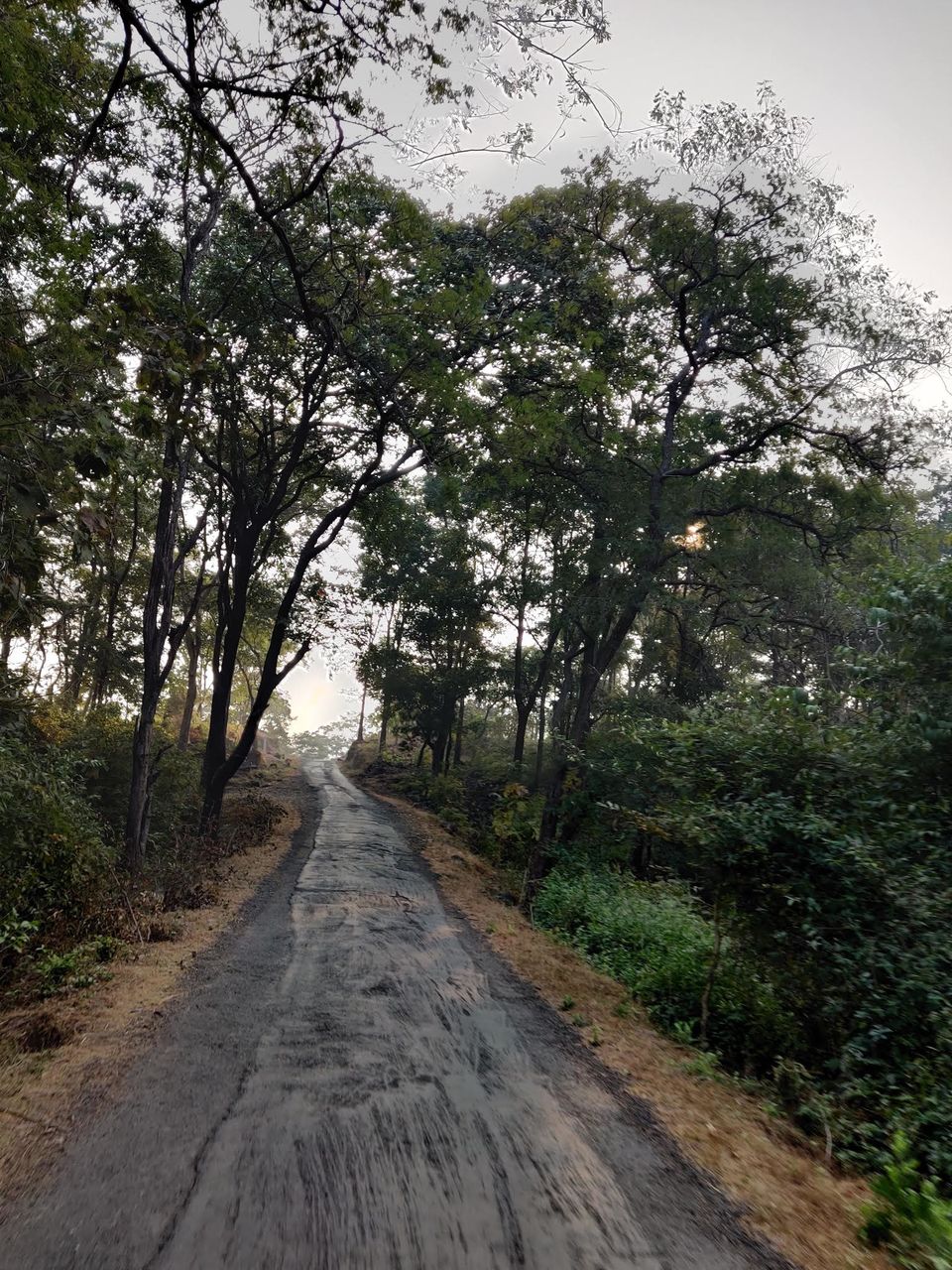 Photo of Vandri Lake Camping - Beautiful Experience !!! 13/14 by Tanmay Lemoriya