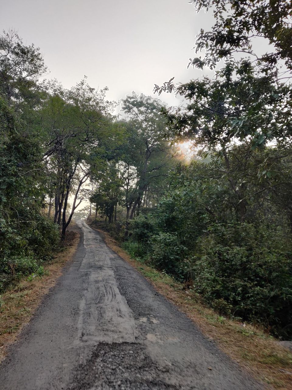 Photo of Vandri Lake Camping - Beautiful Experience !!! 12/14 by Tanmay Lemoriya