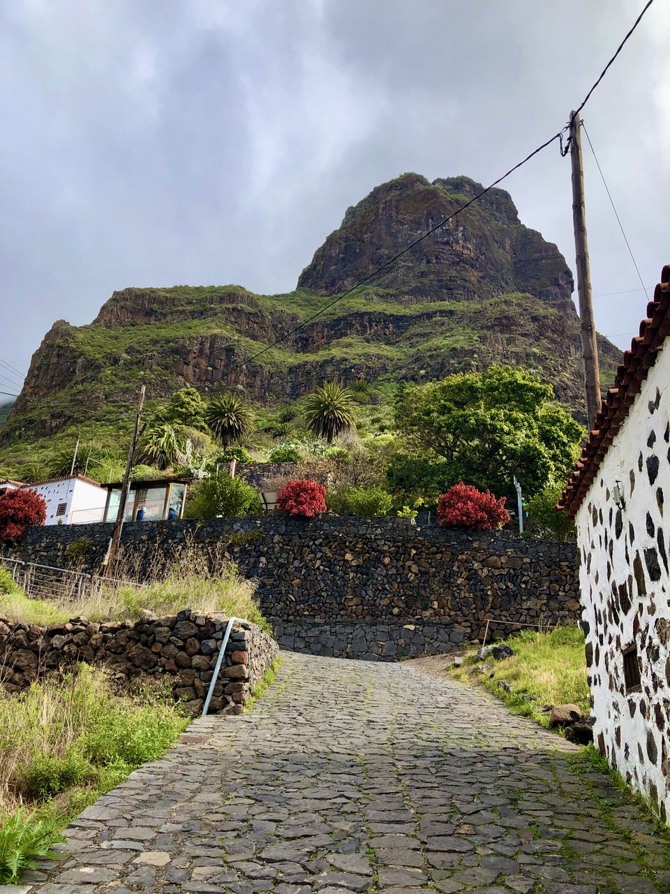 Photo of Tenerife: A Place You May Never Have Seen (PhotoBlog) 10/32 by Curious Panda