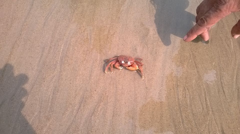 Photo of ‘Pentha Beach’ – An Unknown Name 8/8 by Satyaranjan bai