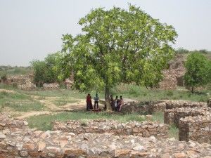 Photo of Charismatic Delhi – Tughlaqabad Fort! 7/12 by Satyaranjan Bai