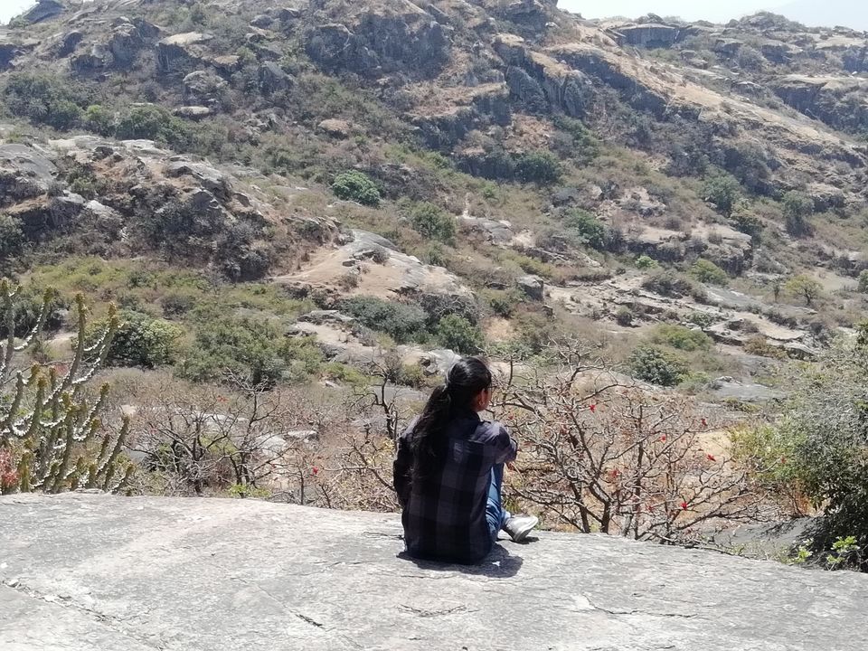 Photo of Hum Jo Chalne Lage, Chalne Lage hain Yeh Raaste - Mount Abu by Rashmi Singh