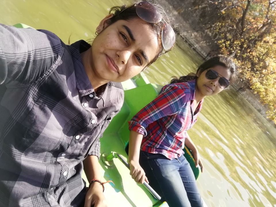 Photo of Hum Jo Chalne Lage, Chalne Lage hain Yeh Raaste - Mount Abu by Rashmi Singh