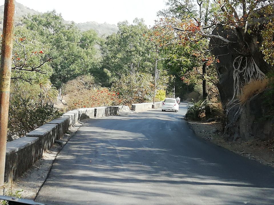 Photo of Hum Jo Chalne Lage, Chalne Lage hain Yeh Raaste - Mount Abu by Rashmi Singh