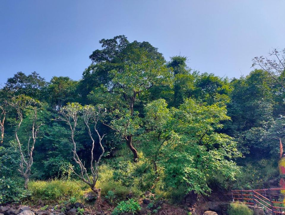 Photo of Kondeshwar tour - A small picnic spot near Badlapur. 5/6 by Ujjaini Iyer - Miles to explore