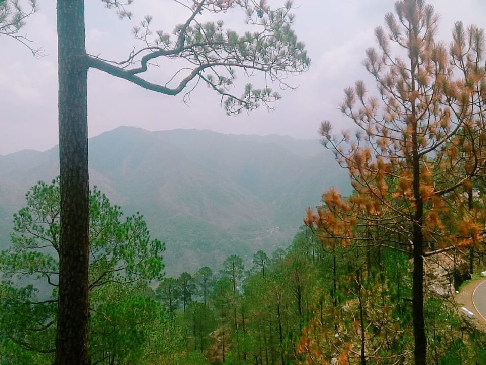 Photo of Tarkeshwar Mahadev, Tarkeshwar Road, Malara Bara, Uttarakhand, India by Shivangi Bhardwaj