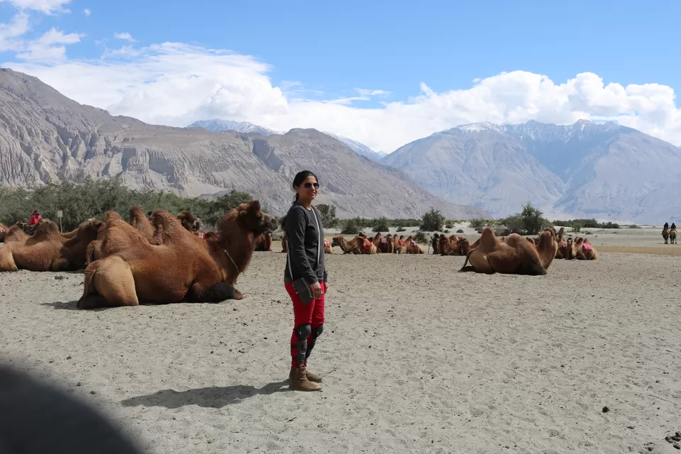 Photo of Nubra Valley, Hunder, Jammu and Kashmir 194401 by TheHerculeanRider