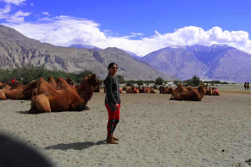 Photo of A journey far and beyond: Road trip from Bangalore to Leh on a Royal Enfield. 26/118 by TheHerculeanRider