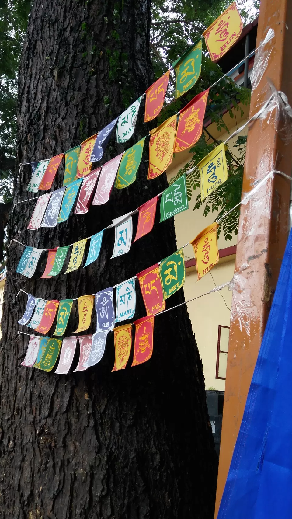 Photo of Bylakuppe, Karnataka, India by Seetha Lakshmi