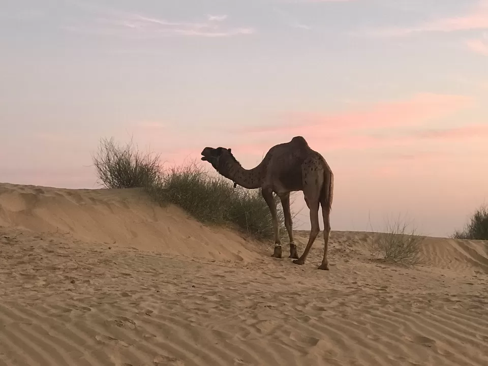 Photo of Khuri, Rajasthan, India by Akshay Manjrekar