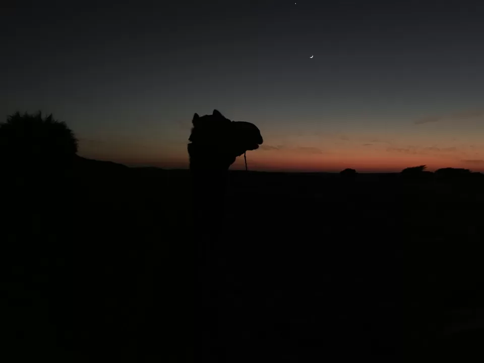 Photo of Khuri, Rajasthan, India by Akshay Manjrekar